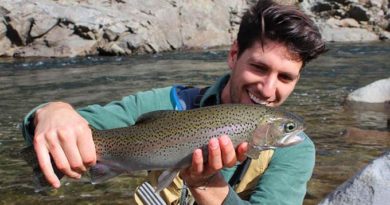 My fly fishing adventure in Yosemite National Park